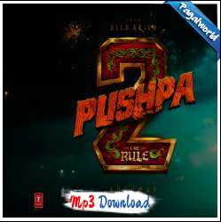 Pushpa 2 - The Rule