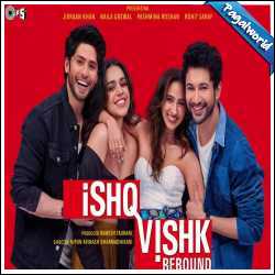 Ishq Vishk Rebound - 2024