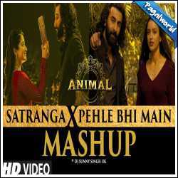 Satranga X Pehle Bhi Main Mashup - Dj Sunny Singh Uk