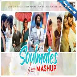 Soulmate Mashup 2024  - Dip Sr