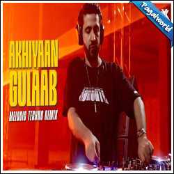 Akhiyaan Gulaab Remix - DJ NYK