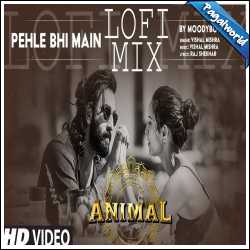 Pehle Bhi Main (LoFi Mix) DJ Moody