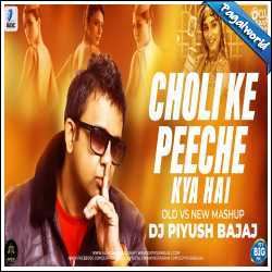 Choli Ke Peeche Kya Hai (Old Vs New Mashup) DJ Piyush Bajaj