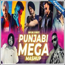 Punjabi Mega Mashup 2024 - Dip SR X Pritz