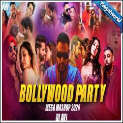 Bollywood Party Mega Mashup 2024 - Dj Avi