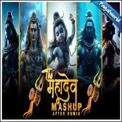 The Mahadev Mashup 2024