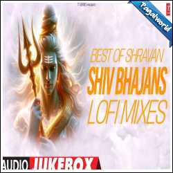 Best Of Shravan - Shiv Bhajans (Lofi)