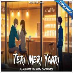  Teri Meri Yaari