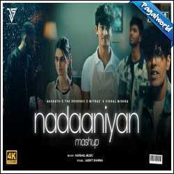 Nadaaniyan Mashup - Harshal Music