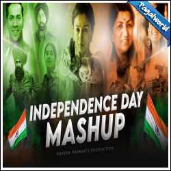 Independence Day Mashup 2024 Nonstop