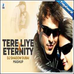 Tere Liye X Eternity Mashup - DJ Shadow Dubai