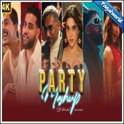 Party Songs Mashup 2024  - DJ Harshal