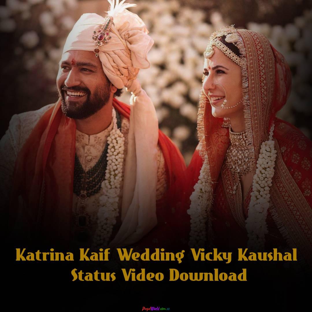 Katrina Kaif Wedding Vicky Kaushal Status Video Download - Pagalworld