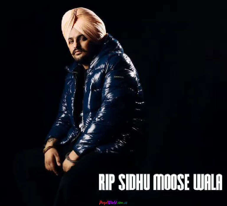 Sidhu Moose Wala Death Status Video Download