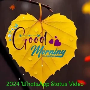 Good Morning Status Video Download