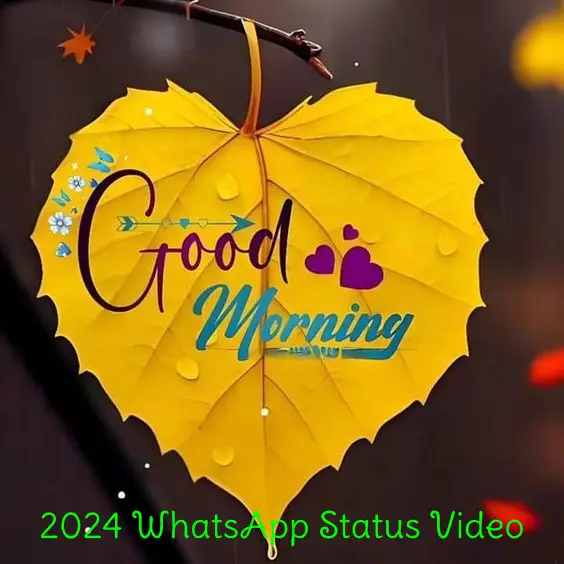 Good Morning Status Video 2024