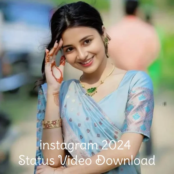 Instagram 2024 Status Video Download